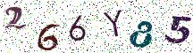266Y85