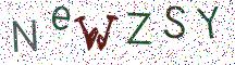 NeWZSY