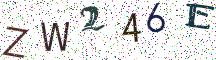 ZW246E