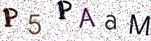 P5PAaM
