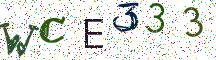WCE333