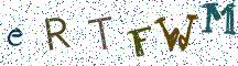 eRTFWM