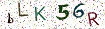 bLK56R