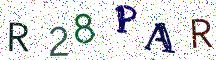 R28PAR