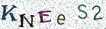 KNEeS2