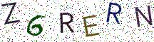 Z6RERN