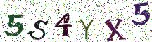 5S4YX5
