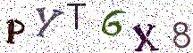 PYT6X8