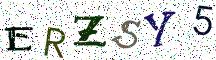 ERZSY5