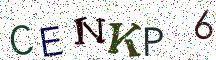 CENKP6