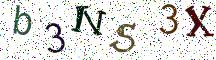 b3NS3X