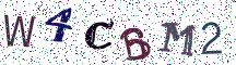 W4CBM2