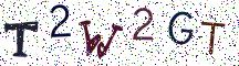 T2W2GT