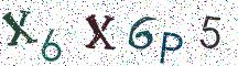 X6X6P5