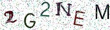 2G2NEM