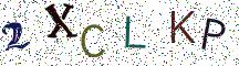 2XCLKP