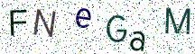 FNeGaM
