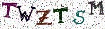 TWZTSM