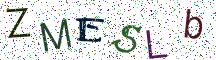 ZMESLb
