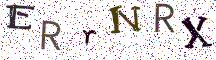 ERrNRX