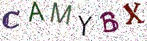 CAMYBX