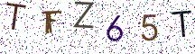 TFZ65T