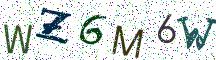 WZ6M6W