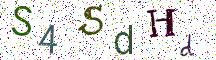 S4SdHd