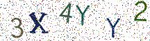 3X4YY2