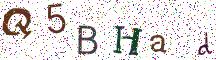 Q5BHad