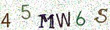 45MW6S