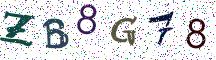 ZB8G78