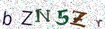 bZN5Zr