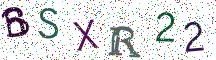 BSXR22