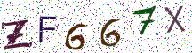 ZF667X