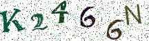 K2466N