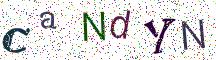 CaNdYN