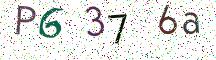P6376a