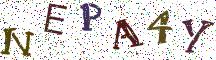 NEPA4Y