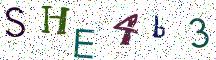 SHE4b3