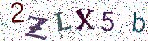 2ZLX5b