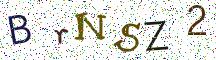 BrNSZ2