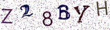 Z28BYH