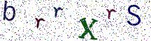 brrXrS