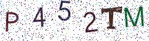 P452TM