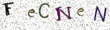 FeCNeN