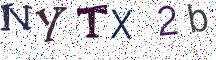 NYTX2b