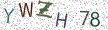 YWZH78