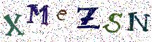 XMeZSN
