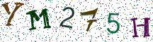YM275H